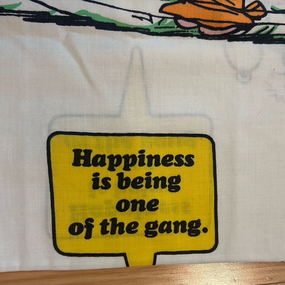70’s Peanuts Charlie Brown Pillow case - Picture 4 of 5